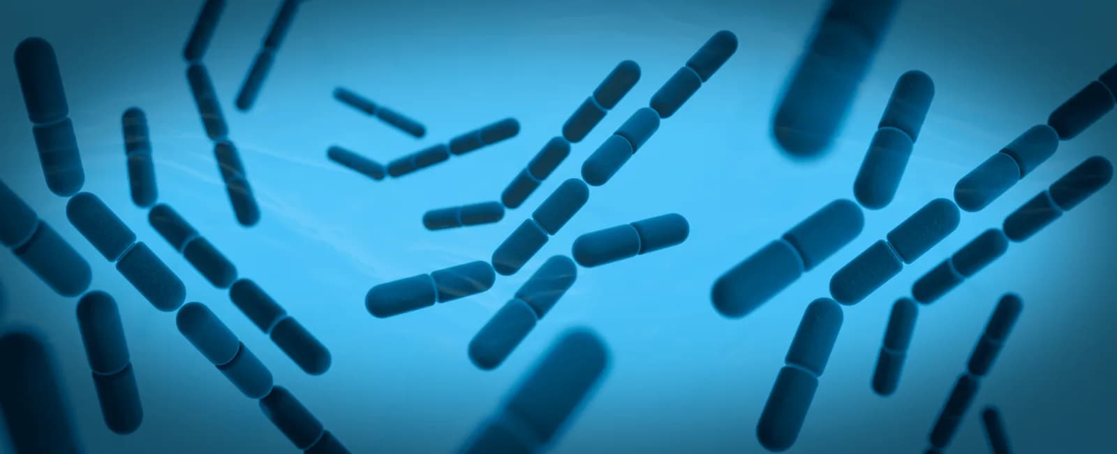 3D render of Bacillus F bacteria