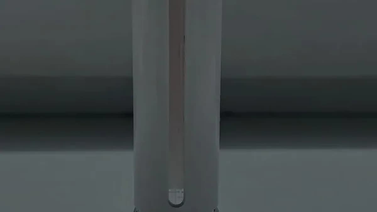 Bacillus F bottle in daylight