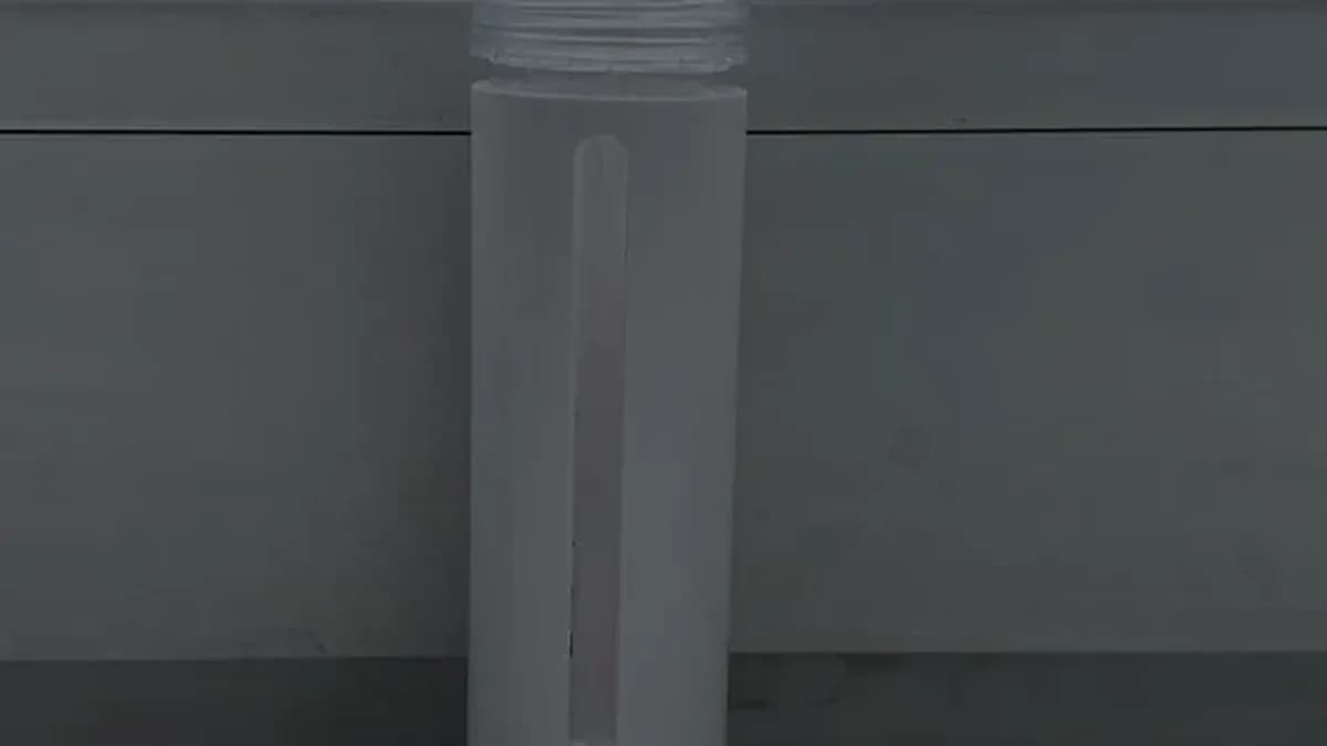Bacillus F bottle on a windowsill